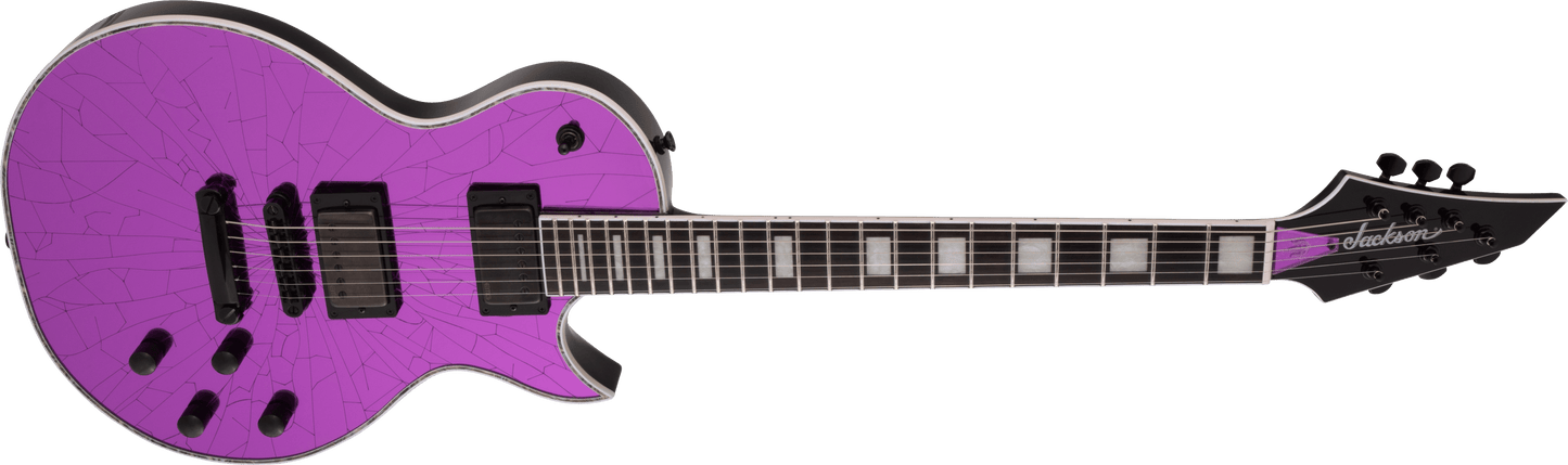 Pro Series Signature Marty Friedman MF-1, Purple Mirror