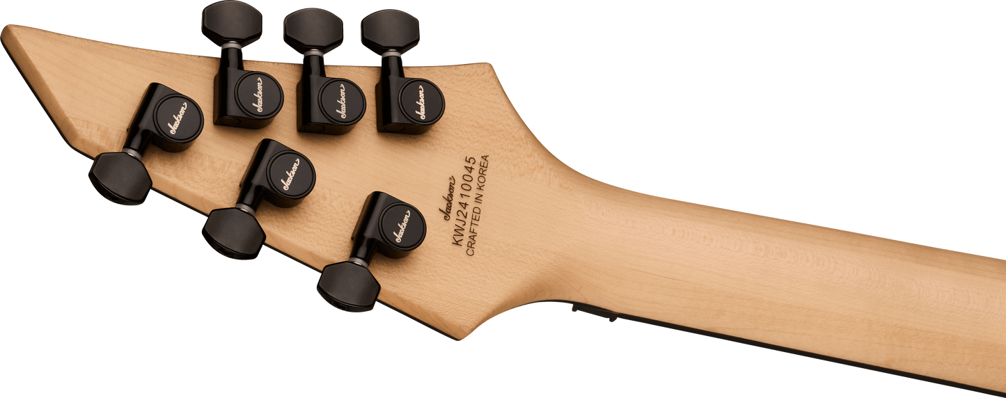 Pro Plus Series Signature Chris Broderick Soloist™ 6